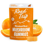 Microdosed Blend Road Trip Gummies - Orange