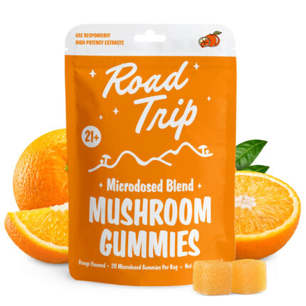Microdosed Blend Road Trip Gummies - Orange