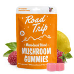 Microdosed Blend Road Trip Gummies - Pink Lemonade